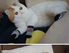 开云体育app-钻石与蓝黑，当安哥拉国家队遭遇穆勒的艺术输出