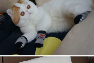 开云体育app-钻石与蓝黑，当安哥拉国家队遭遇穆勒的艺术输出