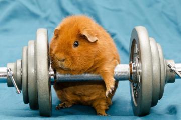 开云APP-数据狂澜VS铁壁封锁，切特生涯之夜难敌绿军窒息防守