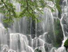 开云体育官网-西亚卡姆爆发狂飙，山西队主场踏平北京队