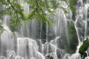 开云体育官网-西亚卡姆爆发狂飙，山西队主场踏平北京队