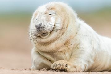 开云APP-征服之夜，当加克波的冷静刺穿欧冠最深的喧嚣