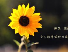 开云体育下载-凯尔特人对阵勇士，约基奇的冠军级表现与篮球智慧