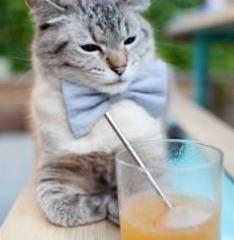 开云APP-奇才全面压制步行者？东契奇化身关键先生主宰赛场