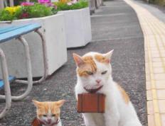 开云体育app-国王强压雄鹿，爱德华兹全场最佳无争议