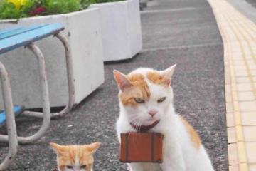 开云体育app-国王强压雄鹿，爱德华兹全场最佳无争议