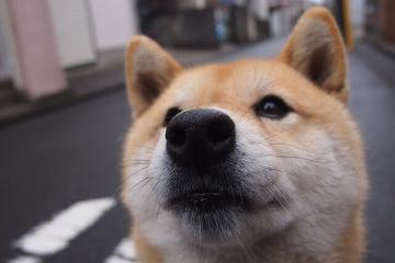 开云体育官网-霍勒迪刀锋起舞肢解湖人，太阳轻取胜利的背后是战术碾压