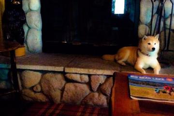 开云体育app-黑夜中的极限之舞，拉文如何用个人能力重写争冠剧本