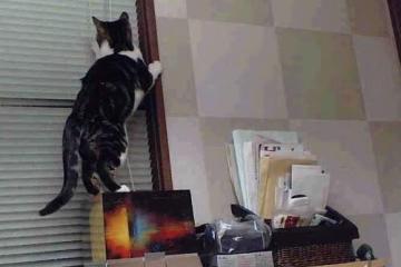 开云体育中国-火力全开压制红牛，铁闸门迪终成关键先生—美国足球的欧洲战场启示录