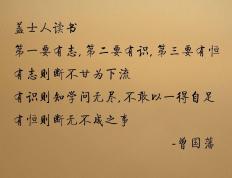 开云下载-范戴克统治级表现引爆友谊赛，比利亚雷亚尔对阵埃及的战术盛宴与数据辉煌