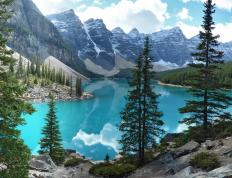 开云体育中国-马克西东决之夜狂飙50+一己之力打破赛点困局