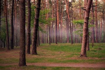 开云体育中国-布克末节狂飙接管比赛，雄鹿全面压制新疆队取胜利