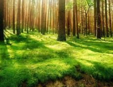 开云体育中国-卢卡库，当巨兽苏醒时，里昂的胜利只是注脚