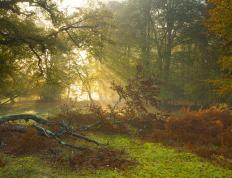 开云体育登录-压力熔炉铸就的锋芒，当利拉德完成爆发，公牛用一波流带走山西队的启示