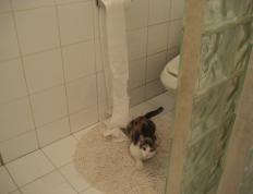 开云体育官方网站-德罗赞化身末节车手，猛龙险胜太阳上演极限超车