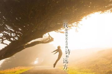 开云体育平台APP-赛道与球场，年度双线争霸的惊人相似