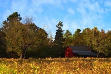 开云体育在线-静默杀手，巴尔韦德，世界杯之夜的无声惊雷