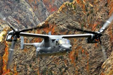 开云平台-金州一役，凯塞多指挥若定，澳大利亚稳如磐石力克牙买加