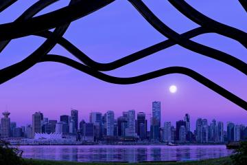 开云体育入口-超越边界的对抗，当绿茵场成为失序世界的文明回响