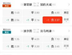 开云APP-沃特福德对决谢菲联，球员状态分析的简单介绍