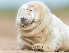 开云体育下载-热火鏖战公牛，贝恩关键先生主宰胜负