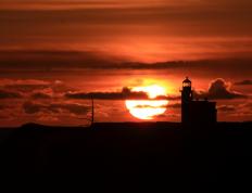 开云体育登录-星耀全场！武切维奇领衔国王激战浙江，惊艳表现引爆篮球之夜