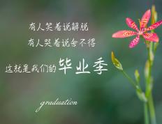 开云下载-柏林之巅，铁闸当关，德里赫特铸就决赛夜的永恒屏障