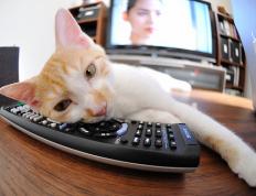 开云体育登录-浙江队掀翻热火创历史，小贾伦压力下爆发难挽败局