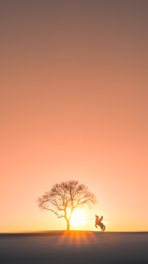 开云体育入口-东契奇史诗逆转！新疆队争冠战胜出尼克斯，斯洛文尼亚天才成关键先生