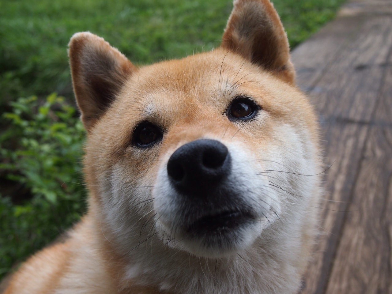 开云体育登录-巴斯托尼，大场面先生冷刃出鞘，瑞士军刀强行终结比利时黄金残梦