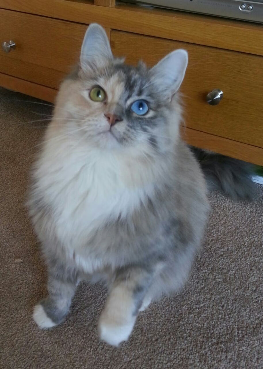 开云体育APP下载-华盛顿奇兵西决生死战破局！缜密战术打穿马刺王朝壁垒