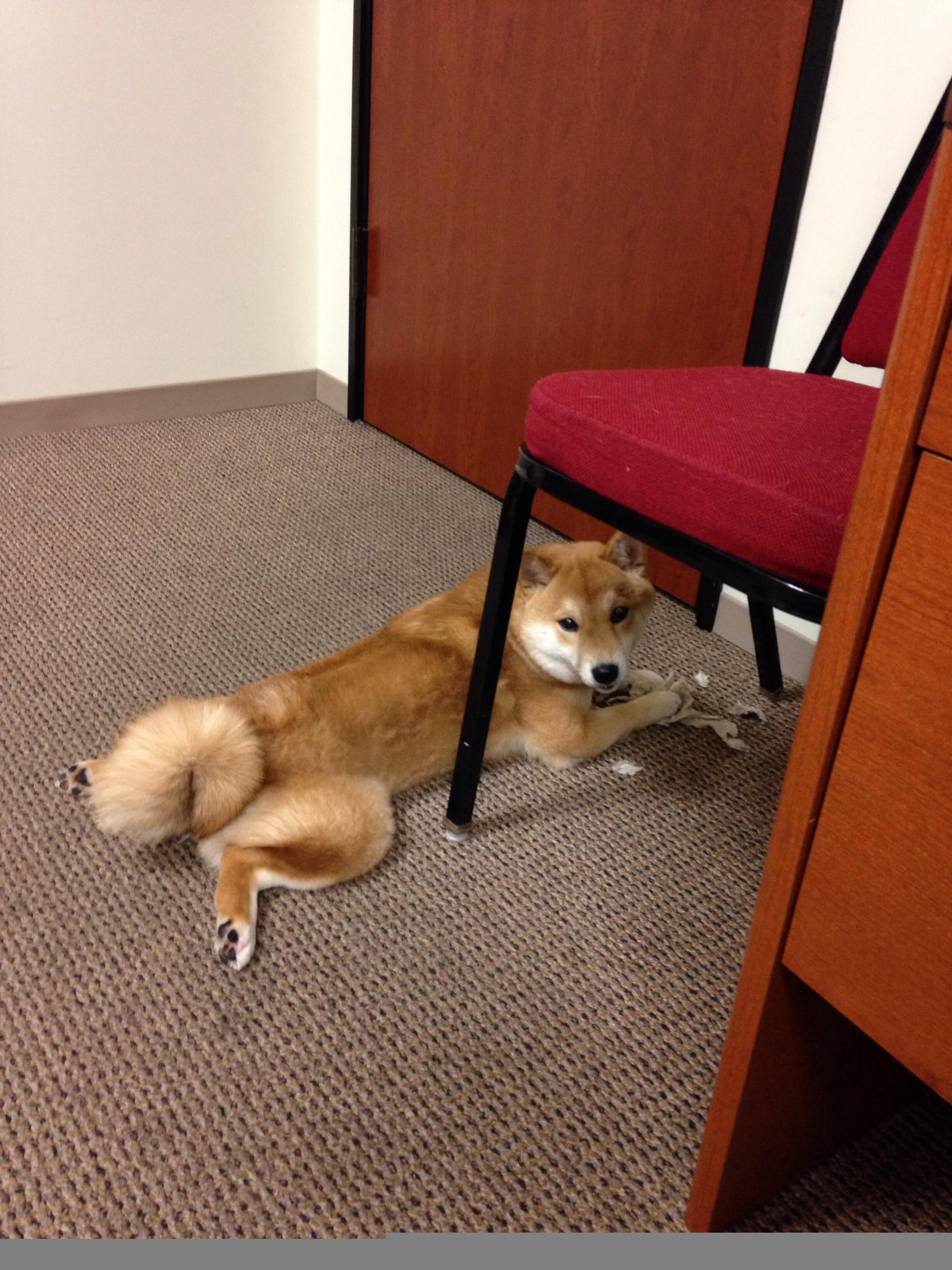 开云体育下载-绝杀与接管的跨界交响，吉林队胜广厦队，利拉德在争冠战中的英雄时刻