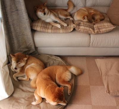 开云体育在线-冰与火的胜利交响，当足球硬汉遇见篮球接管者