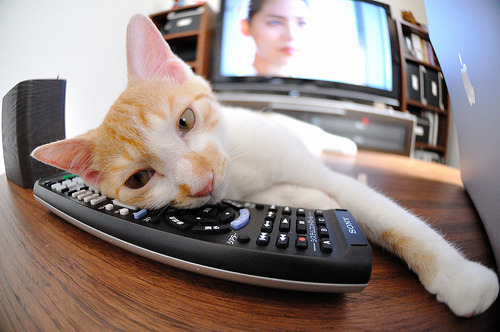 开云体育登录-浙江队掀翻热火创历史，小贾伦压力下爆发难挽败局