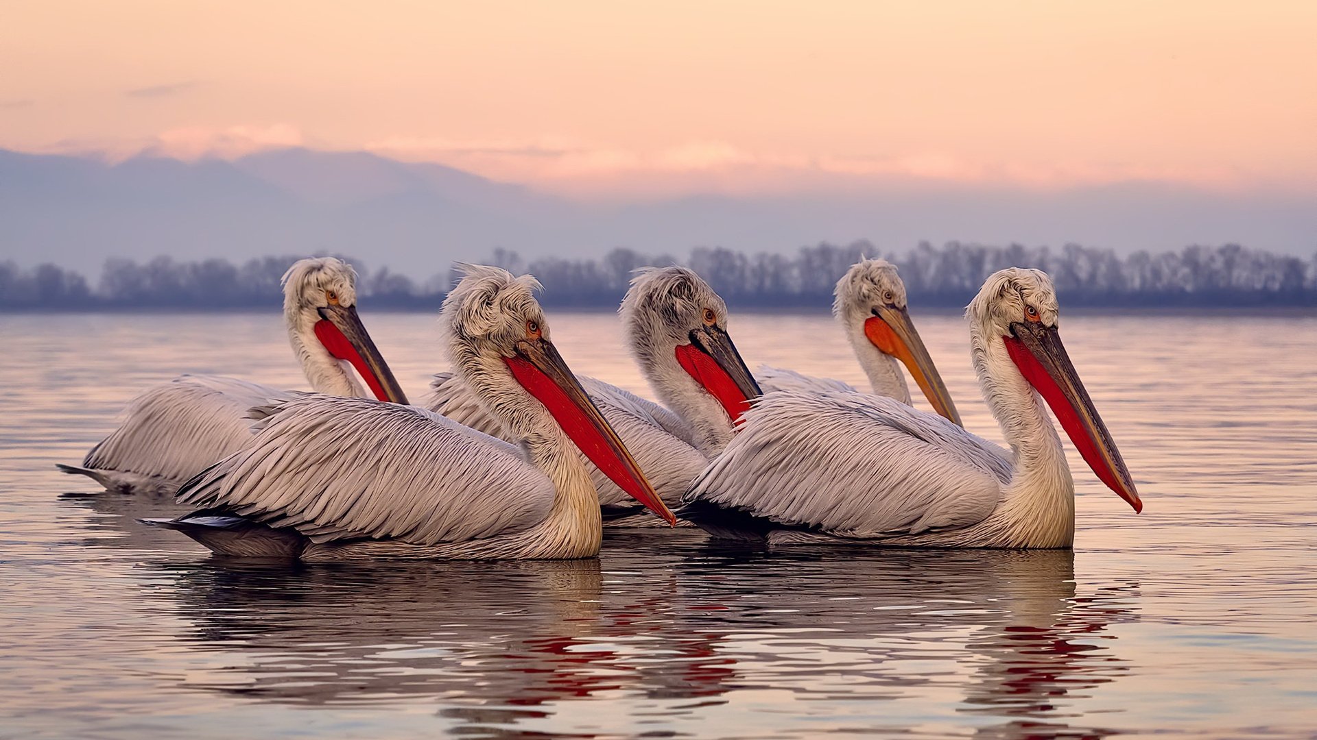 开云体育官方网站-中国对阵安哥拉，罗德里戈里程碑之战