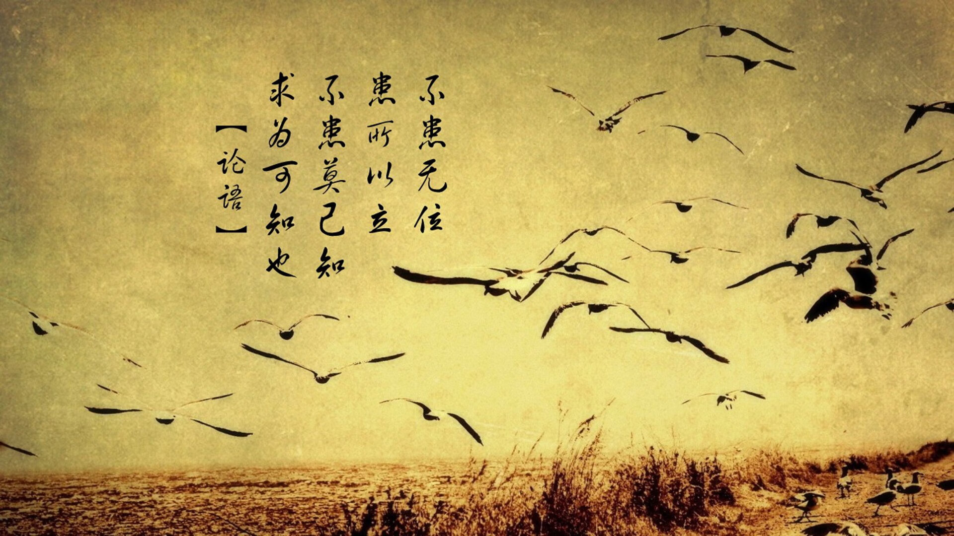 开云体育app-勒布朗的矛，亚历山大的盾，两种统治力诠释篮球美学