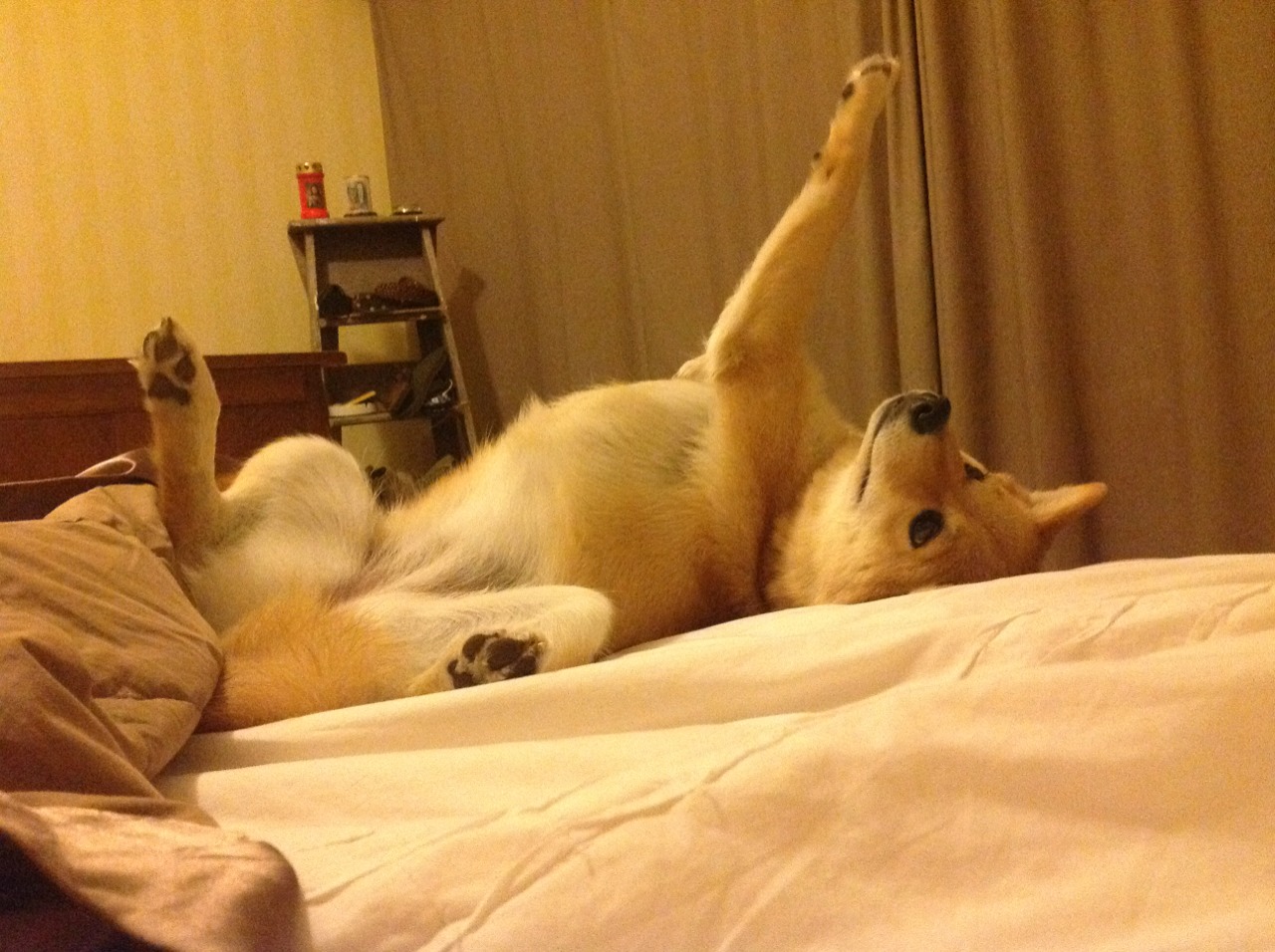 开云体育在线-玻璃与黄沙,当亚平宁的焦点映照委内瑞拉的尘沙