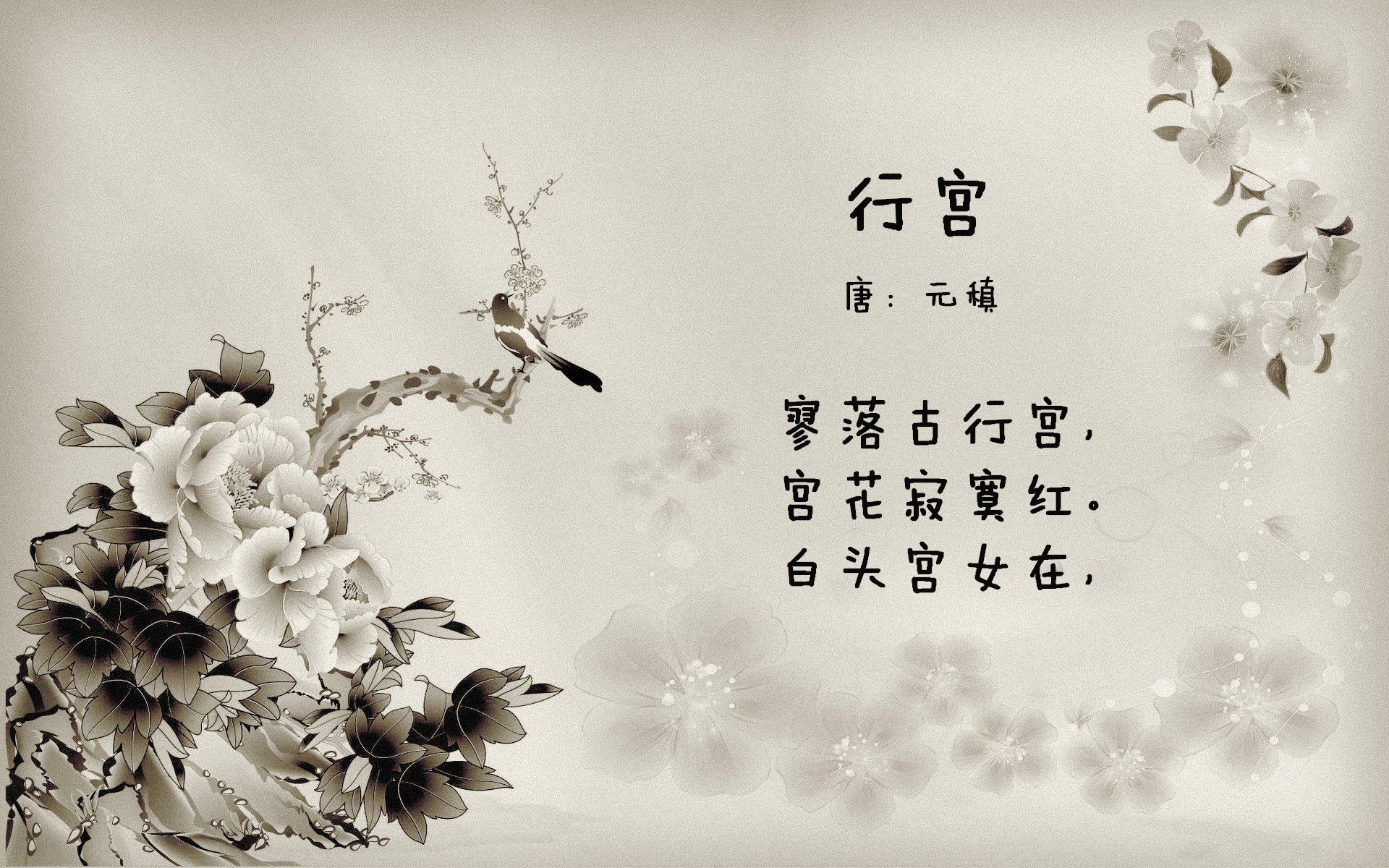 开云平台-足球大脑,阿克如何用系统重置思维导逆转,让阿尔及利亚稳擒西班牙