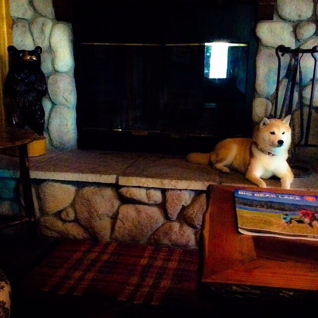 开云体育app-黑夜中的极限之舞，拉文如何用个人能力重写争冠剧本