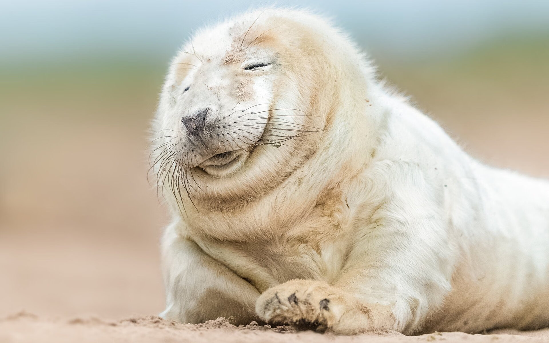 开云体育登录-上海队封锁猛龙,杰伦格林持续制造杀伤 一场教科书级的攻防对决