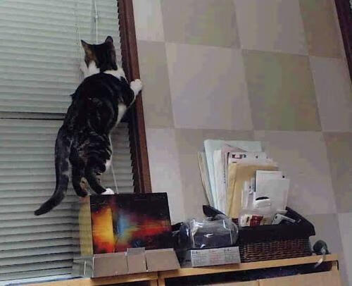 开云官网-冷门与巨星，厄瓜多尔掀翻墨西哥，凯恩满分诠释领袖力